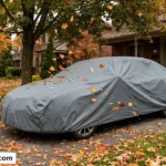 protect car falling leaves